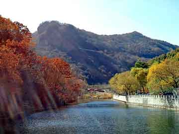 新澳天天开奖资料大全旅游团，武神天龙